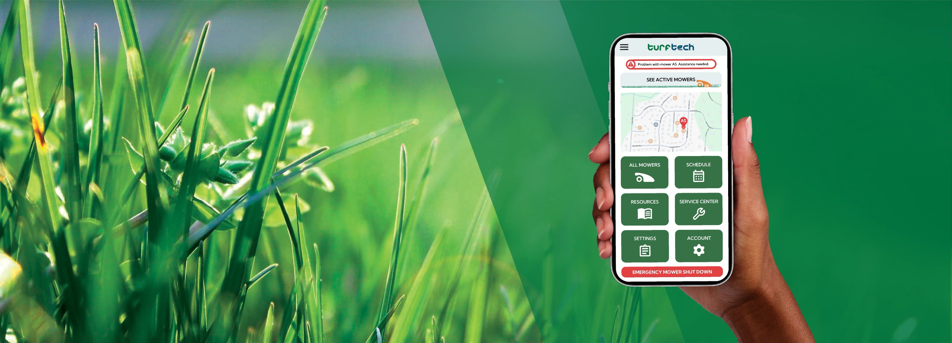 preview of the project